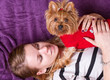 Beautiful young girl playing with her yorkshire terrier at home laying down