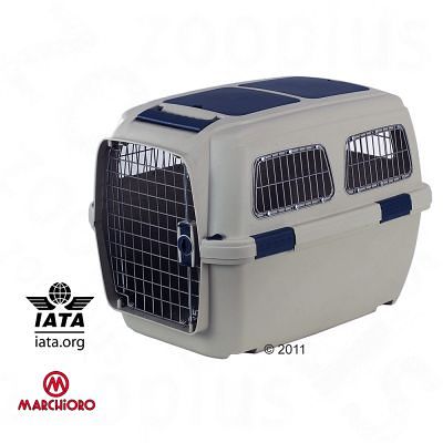 IATA Flugbox für Yorkshire Terrier