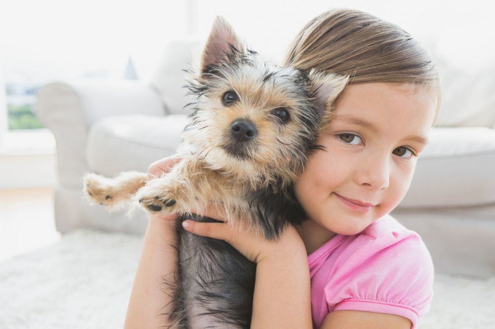 Yorkshire Terrier und Kinder