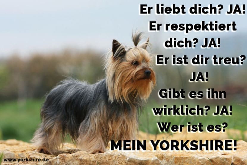 Yorkshire Zitate und Sprüche Yorkshire.de