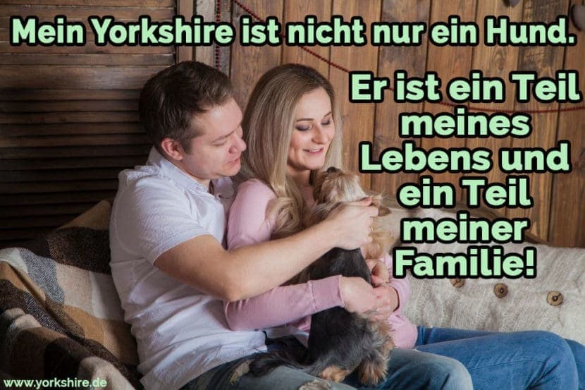 Yorkshire Zitate und Sprüche Yorkshire.de