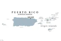 Yorkshire Terrier Züchter in Puerto Rico,Estado Libre Asociado de Puerto Rico Yorkshire Terrier Züchter in Puerto Rico,Estado Libre Asociado de Puerto Rico