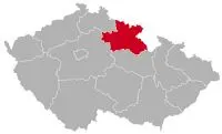 Yorkshire Terrier Züchter in Hradec Králové,KR, Königgrätzer Region, Hradec Králové, Jičín, Náchod, Rychnov nad Kněžnou, Trutnov