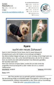 Kyara, unsere Einzelprinzessin