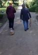 Spaziergang mit dem Yorkshire Terrier